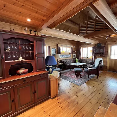 Familiehytte Med Peis Og Badstu I Sentrum