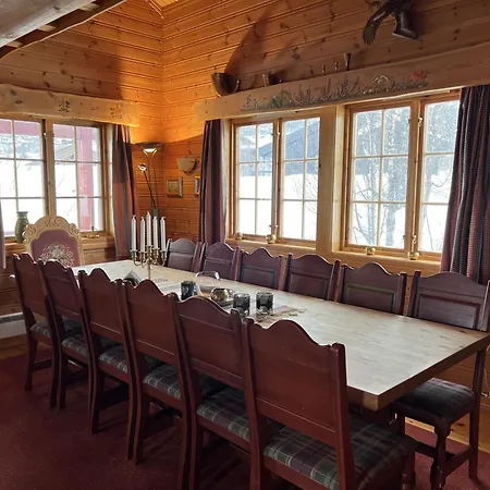 Ferienhaus Familiehytte Med Peis Og Badstu I Sentrum