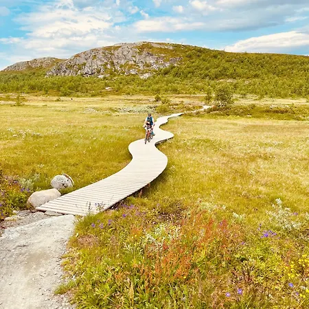 Familiehytte Med Peis Og Badstu I Sentrum Holiday home *