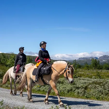 Familiehytte Med Peis Og Badstu I Sentrum Holiday home *